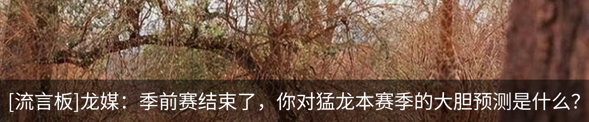 资讯动态